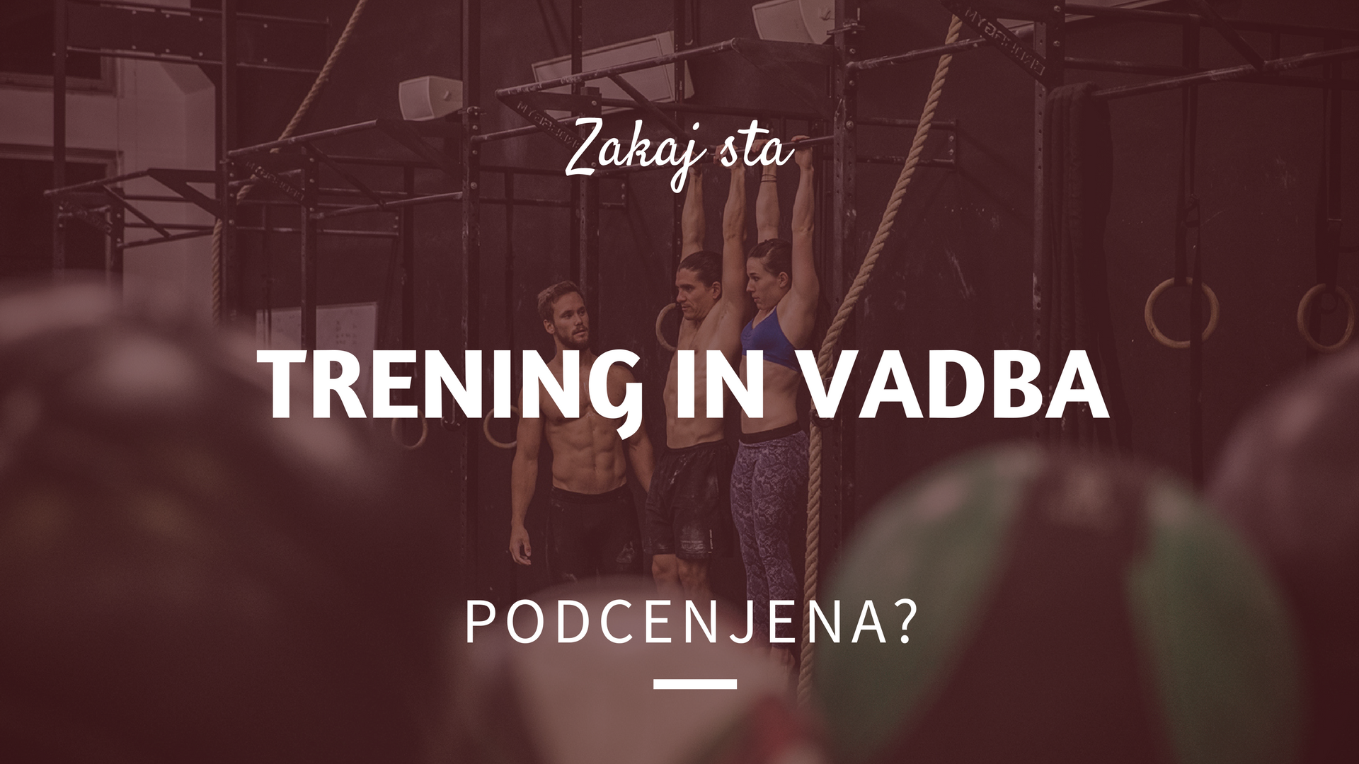 You are currently viewing Zakaj sta trening in vadba podcenjena?