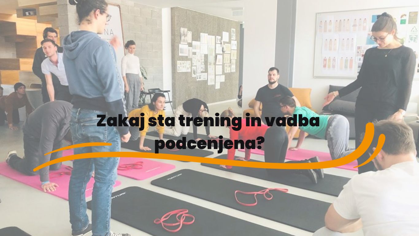 Read more about the article Zakaj sta trening in vadba podcenjena?